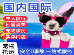 六盘水月照航空托运国际宠物托运 【国